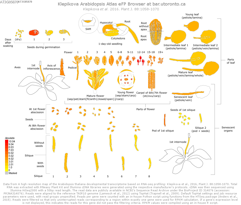 Seed Bioassay: Some stuffs and Tips (Tears, water droplet and Tiny Hacks)